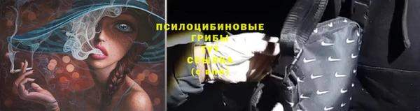 Альфа ПВП Всеволожск