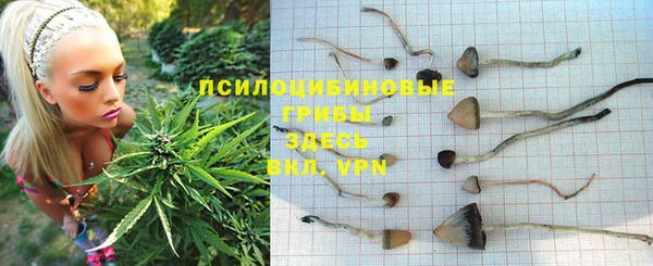 гашиш Няндома