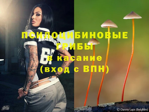 гашиш Няндома