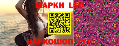 spice Дубна