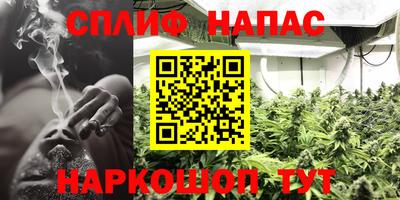 spice Дубна