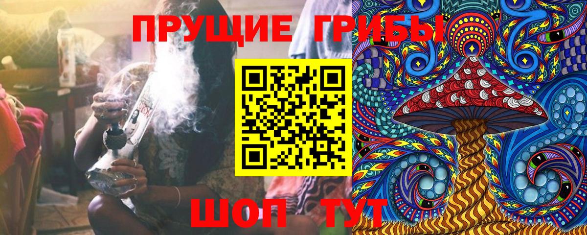 Печора  Псилоцибиновые грибы Cubensis  Галлюциногенные грибы мицелий  Вход с VPN 
