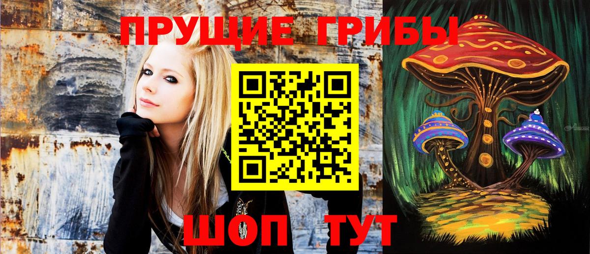 Псилоцибиновые грибы мицелий Печора